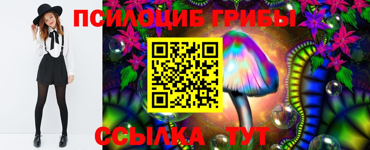 Буйнакск  Псилоцибиновые грибы мухоморы  купить   Псилоцибиновые грибы ЛСД  Вход с VPN 